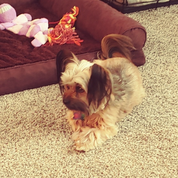 Meet your Posher, Sharon - Picture 1 of 1